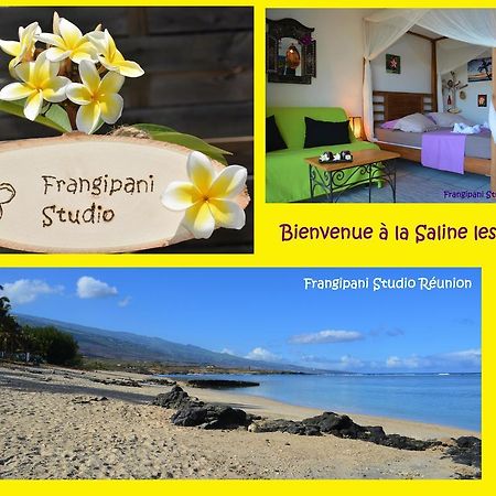 Frangipani Studio Réunion Appartamento La Saline Le Bains Esterno foto