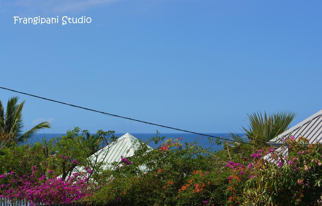 Frangipani Studio Réunion Appartamento La Saline Le Bains Esterno foto