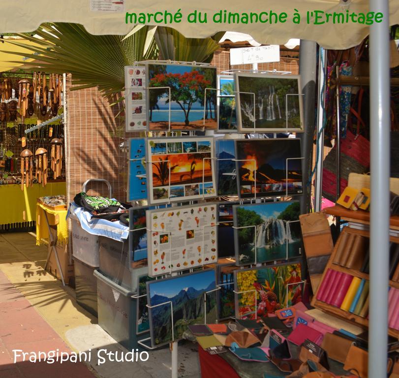 Frangipani Studio Réunion Appartamento La Saline Le Bains Esterno foto