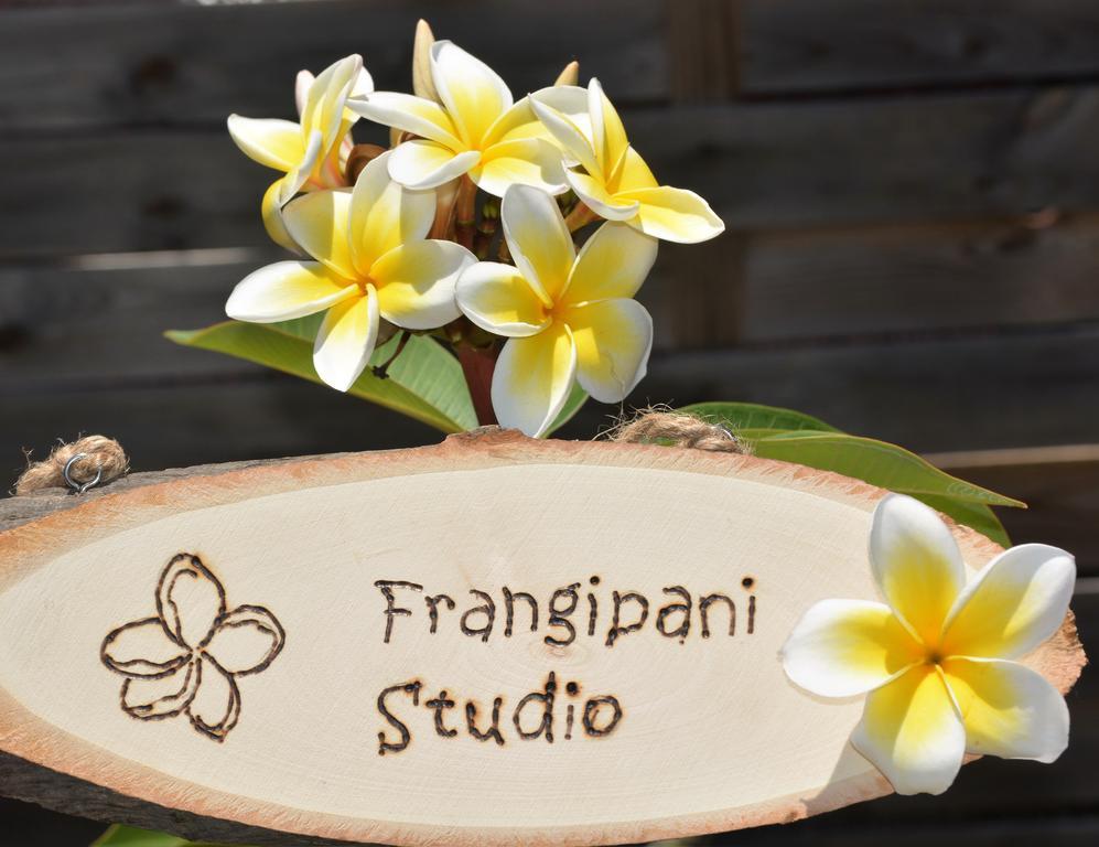 Frangipani Studio Réunion Appartamento La Saline Le Bains Esterno foto