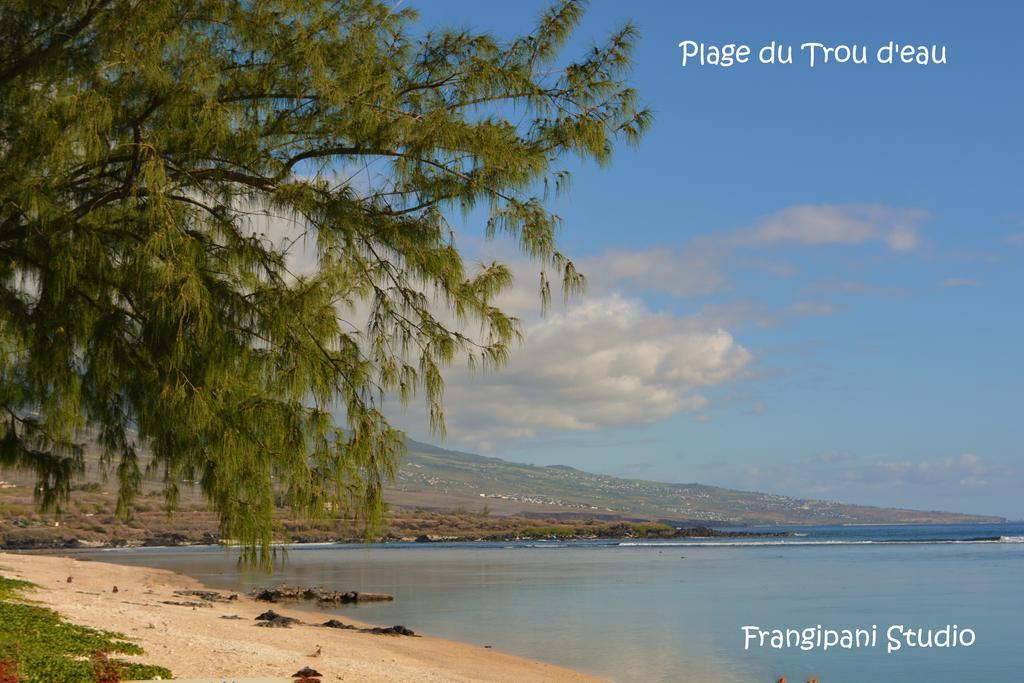 Frangipani Studio Réunion Appartamento La Saline Le Bains Esterno foto