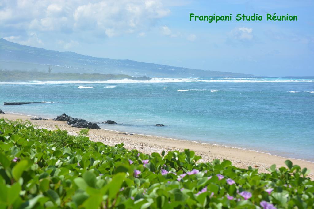 Frangipani Studio Réunion Appartamento La Saline Le Bains Esterno foto